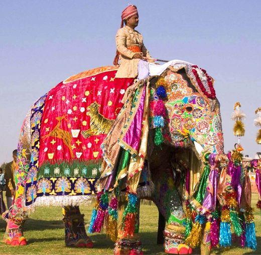 Rajasthan Tour